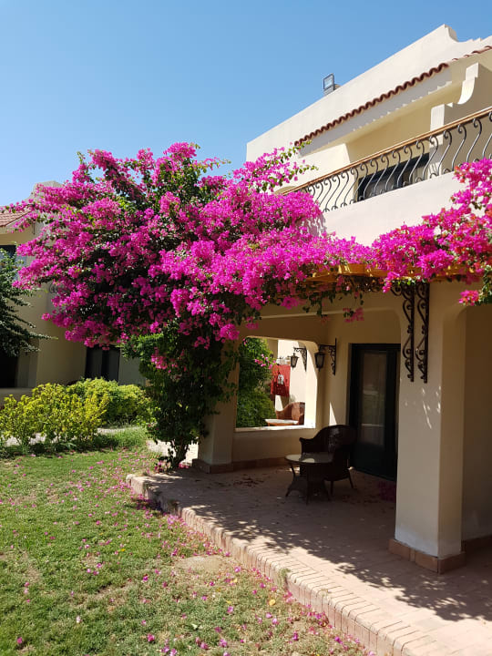 Gartenanlage Lotus Bay Beach Resort