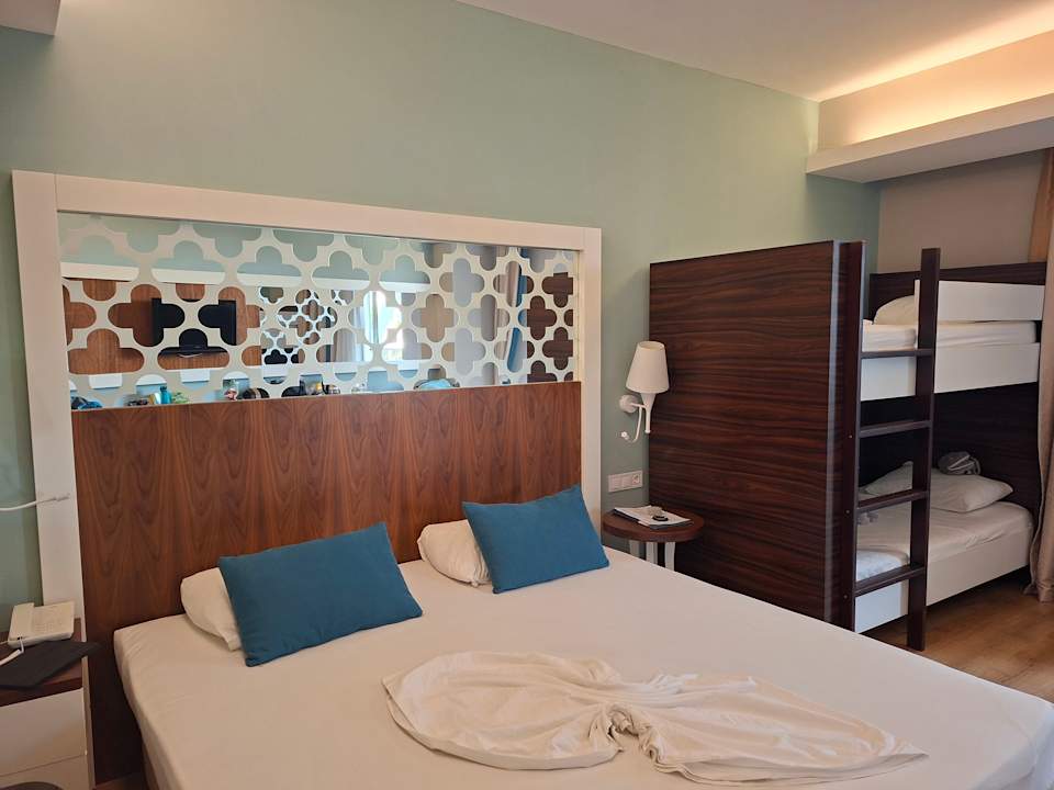 Zimmer Seashell Vega