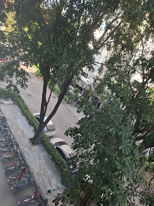 Ausblick Best Western Plus Nexen Pattaya