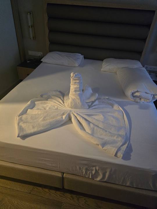 Zimmer Aydinbey Kings Palace & Spa
