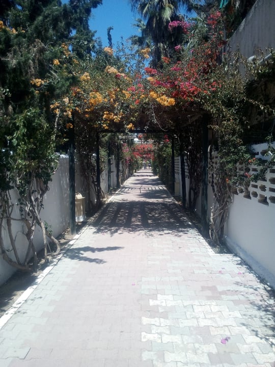 Weg zum hoteleigenen Strand Hotel Nesrine