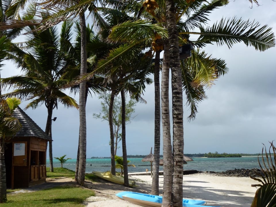 Mit Boat House (Tauchen; Boote) Jalsa Beach Hotel & Spa