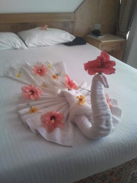 So wurde unser Bett gemacht Beach Albatros Resort