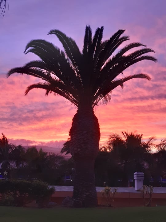 Gartenanlage Club Hotel Drago Park