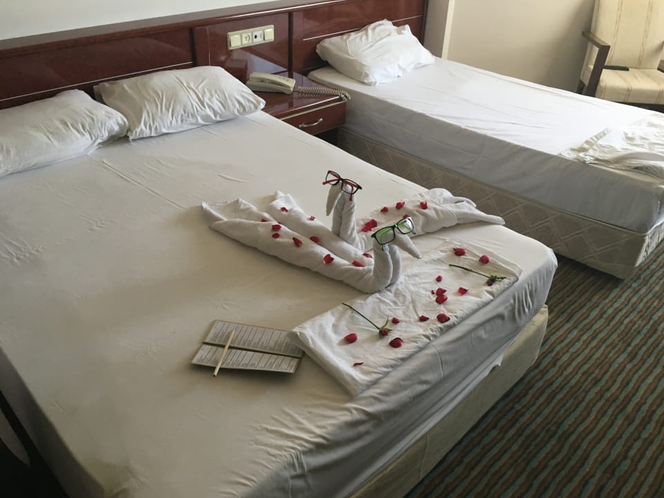 Zimmer Aydinbey Gold Dreams