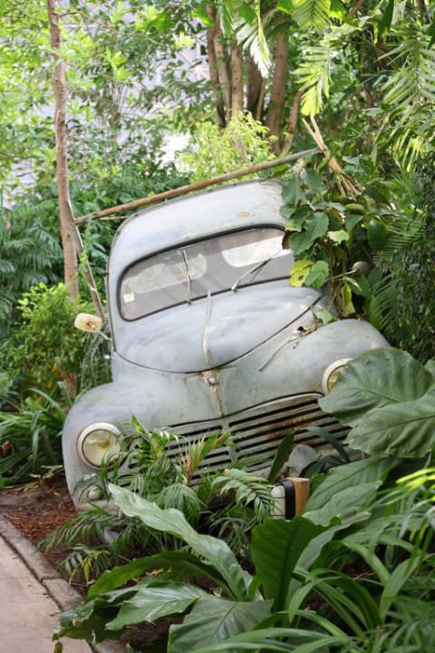 Auto Tropical Islands Resort