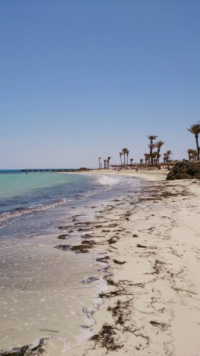 Strand Hotel El Mouradi Djerba Menzel