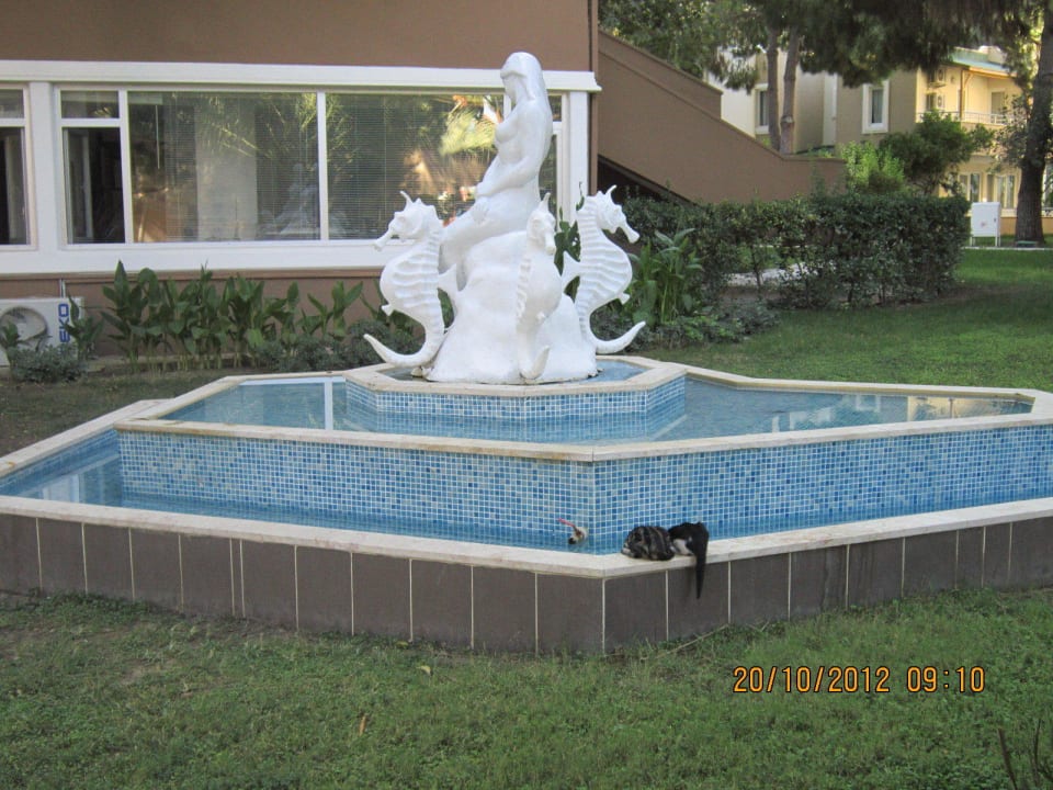 Brunnen Club Sidelya Hotel