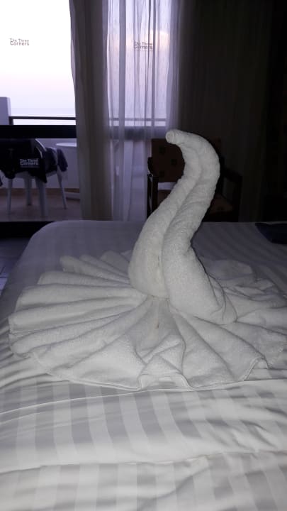 Zimmer Three Corners Equinox Beach Resort