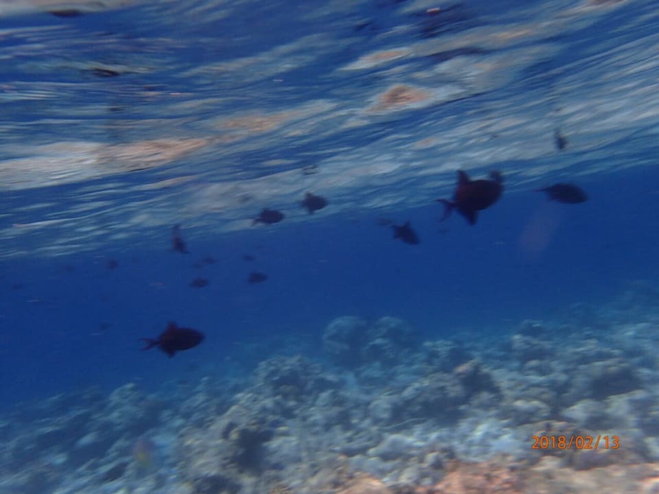 Sonstiges NH Collection Maldives Reethi Resort