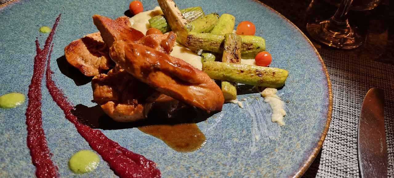 Gastro JAZ Elite Asteria