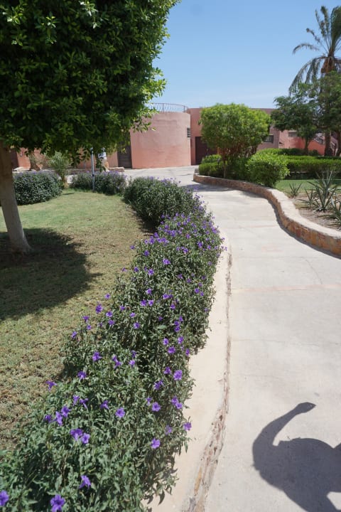Gartenanlage Eagles Paradise Abu Soma