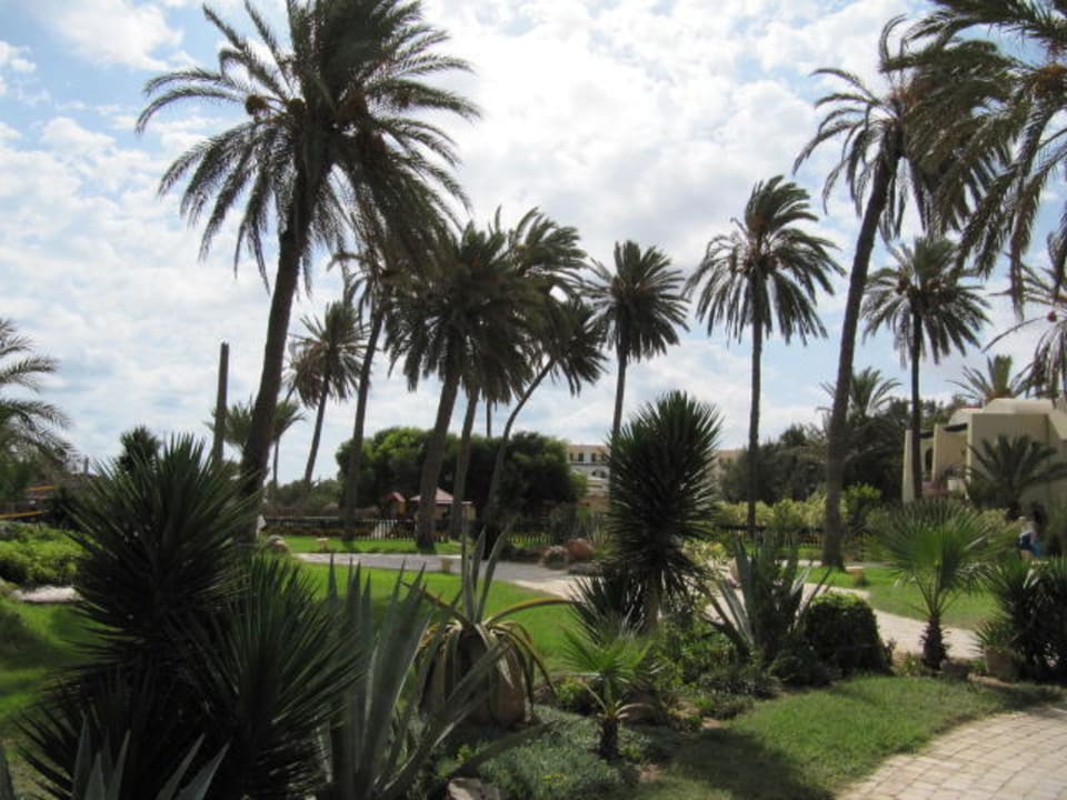 Strandweg Hotel Eden Star