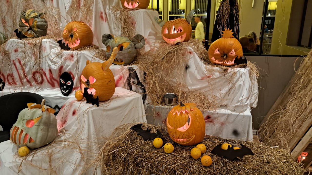 Gastro PALOMA Perissia