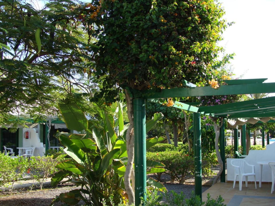 Einfach schön Bungalows Cordial Sandy Golf