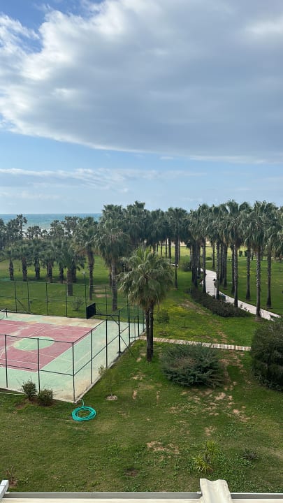 Ausblick Royal Atlantis Beach Hotel