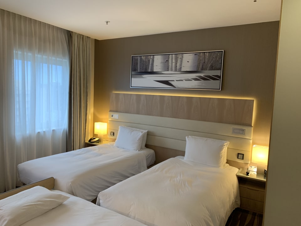 Zimmer Hilton Frankfurt Airport