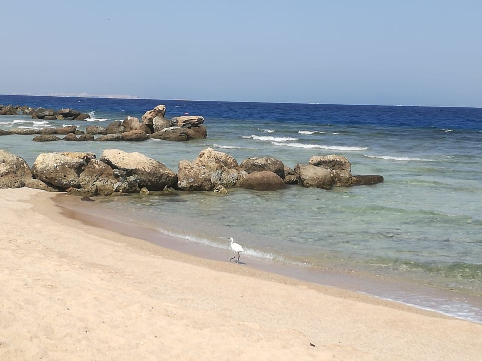 Strand Pickalbatros Citadel Resort
