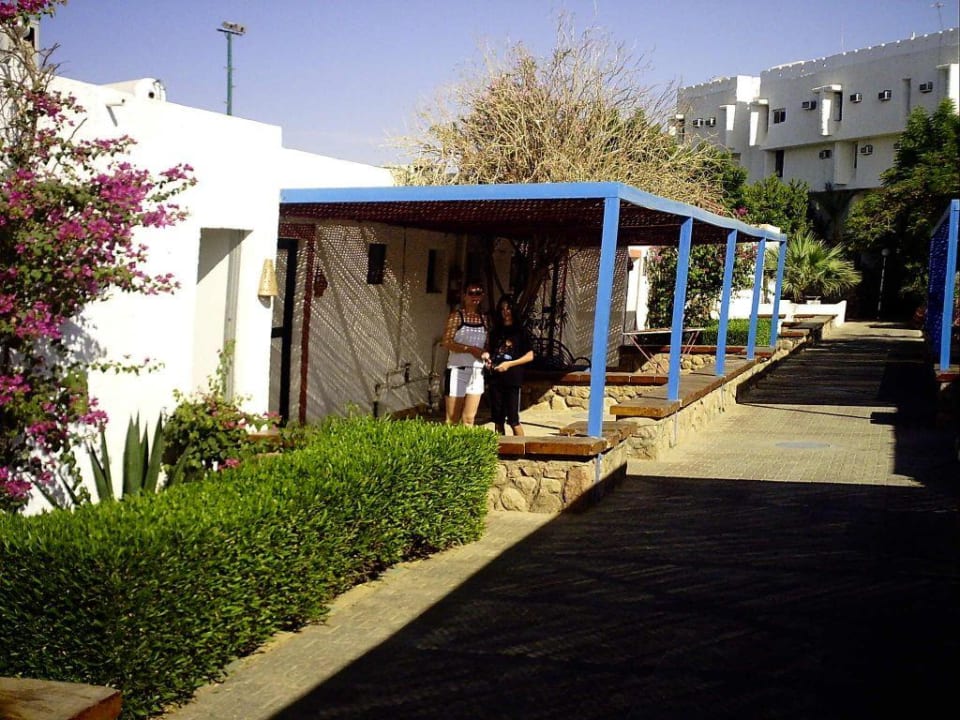 Vorderansicht von unserem Bungalow Albatros Sharm Resort