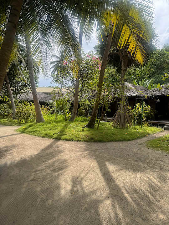 Gartenanlage Kuramathi Maldives