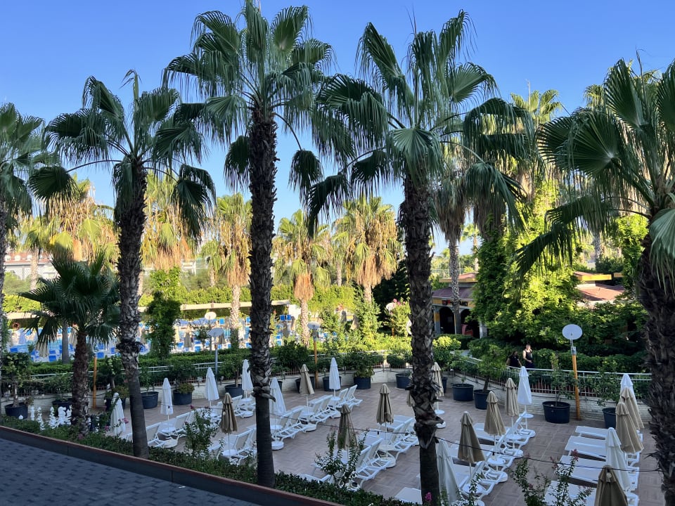 Ausblick Hane Family Resort