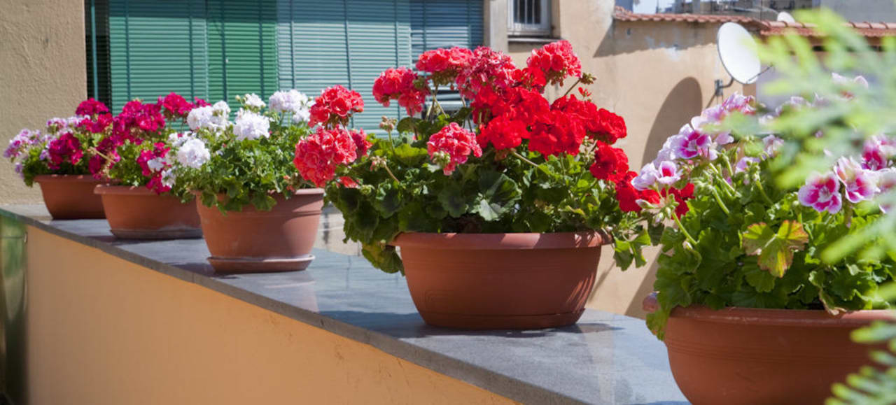 Bed & Breakfast Tetto Fiorito - Gli esterni Bed & Breakfast Tetto Fiorito