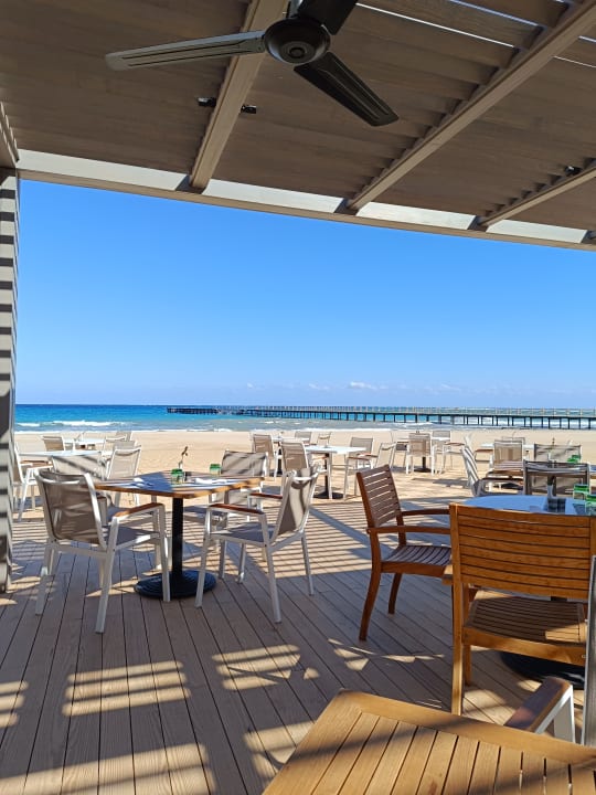 Gastro JAZ Elite Amara