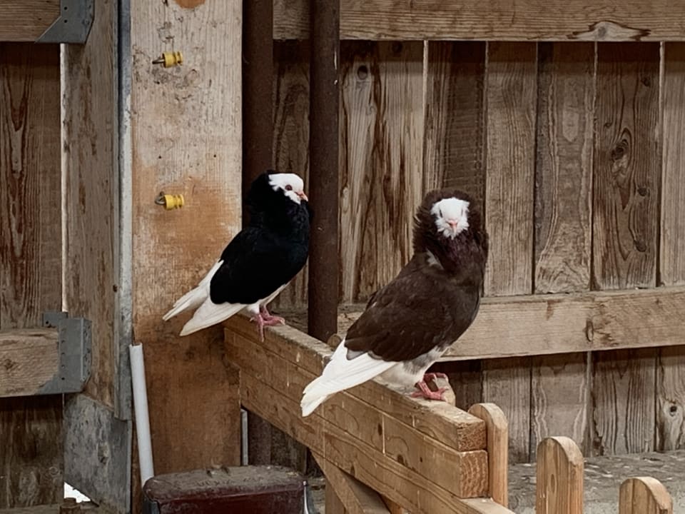 Sonstiges Familotel Ottonenhof