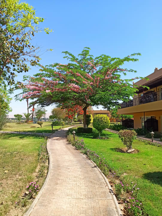 Gartenanlage Jolie Ville Kings Island Luxor