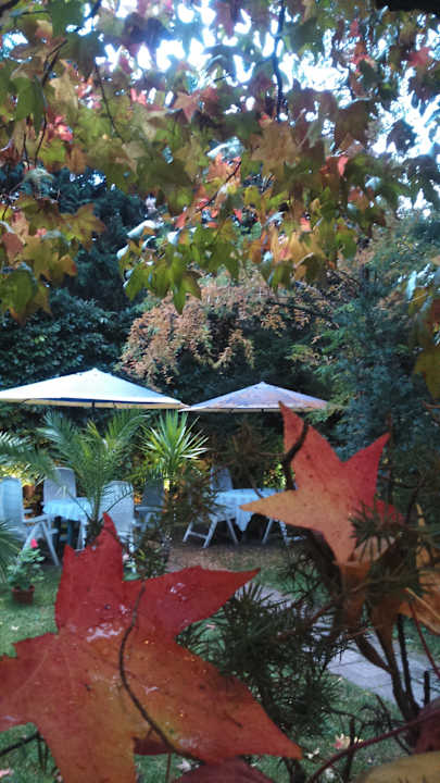 Gartenanlage Park Hotel Amfora