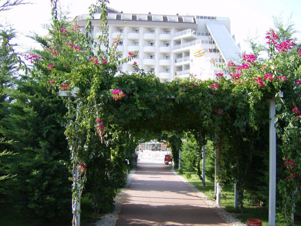 Weg vom Strand zum Hotel Saturn Palace Resort Hotel