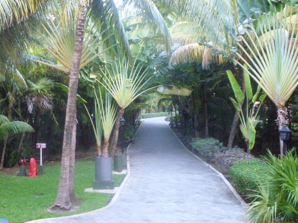 Vom ZImmer Hotel Riu Tequila