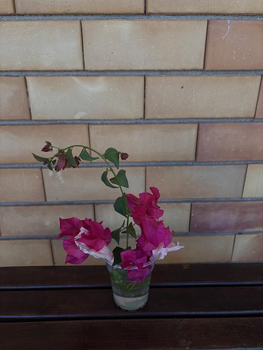 Zimmer Bella Beach Hotel