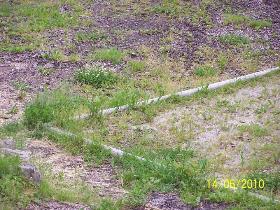 Unkraut gesamte Anlage Sonnenwald Hotel