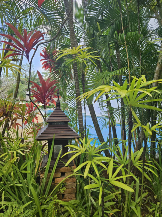 Gartenanlage Hotel Krabi La Playa