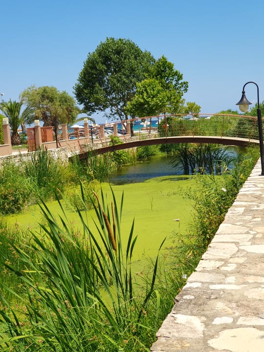 Gartenanlage Alexandra Golden Boutique - Adults only