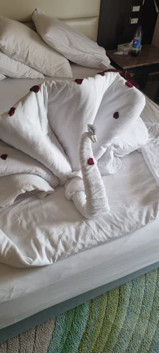 Zimmer Pickalbatros Palace Resort