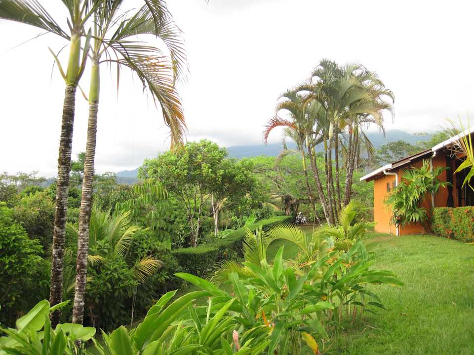 Schön grün Hotel Lookout at Playa Tortuga