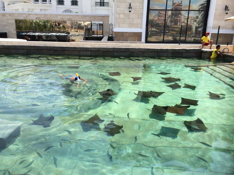 Schnorcheln im Aquapark The Land of Legends Kingdom Hotel
