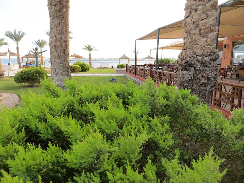 Strandabschnitt Beach Albatros Resort