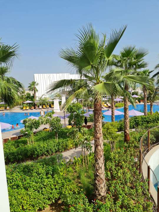 "Family Lounge" Centara Mirage Beach Resort Dubai (Dubai