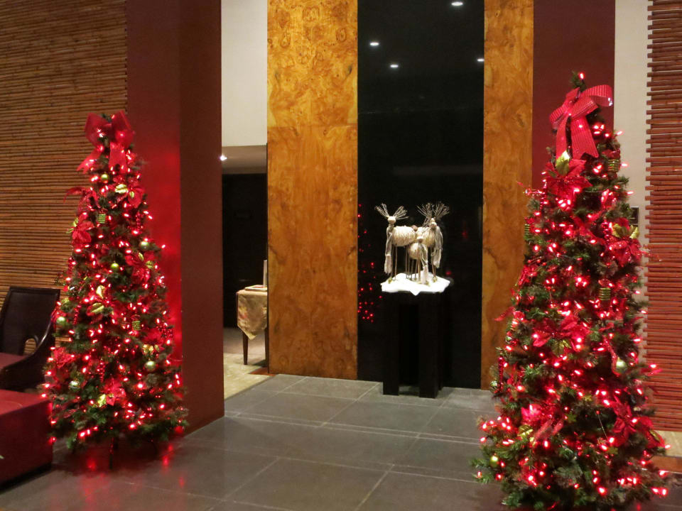 Schöne Deko Hotel Grano de Oro