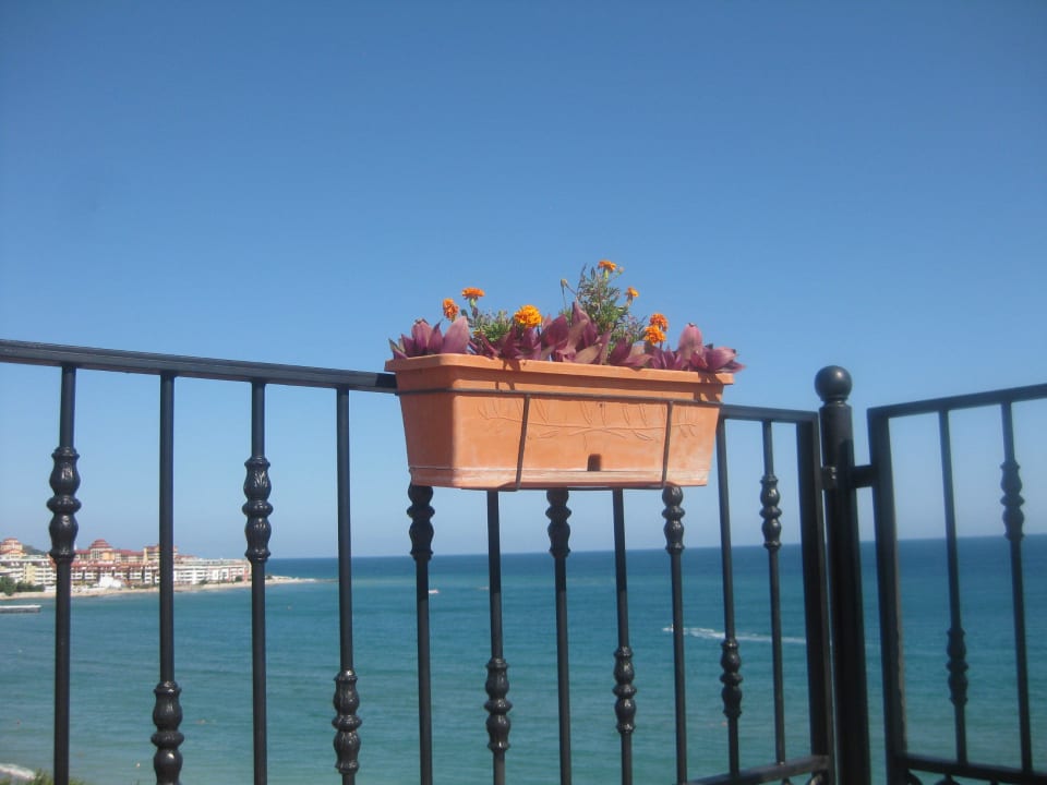 Beach from terace Hotel Tiva del Mar Beach
