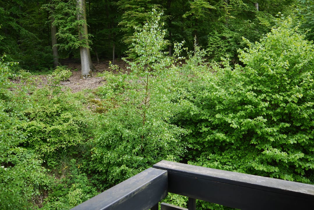 Ausblick vom Zimmer Fletcher Hotel-Restaurant Arnsberg-Sauerland