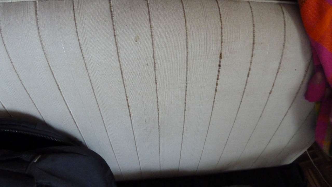 Couch Hotel Royal Lotus