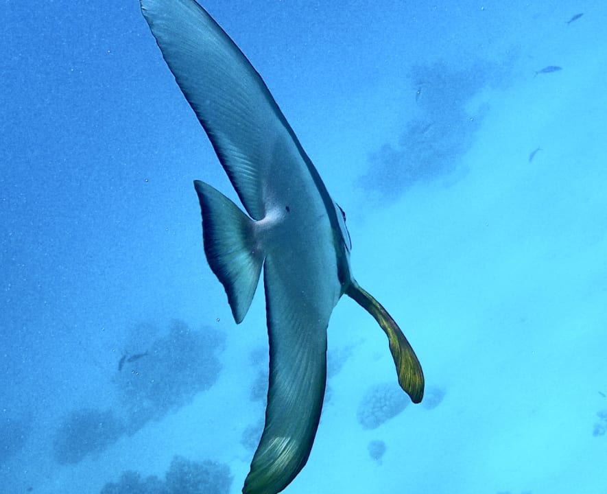 Sport & Freizeit Makadi Spa - Adults only