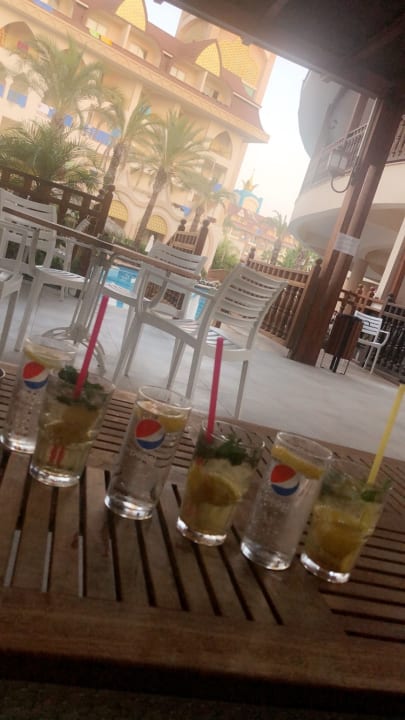 Gastro Well Palace Side