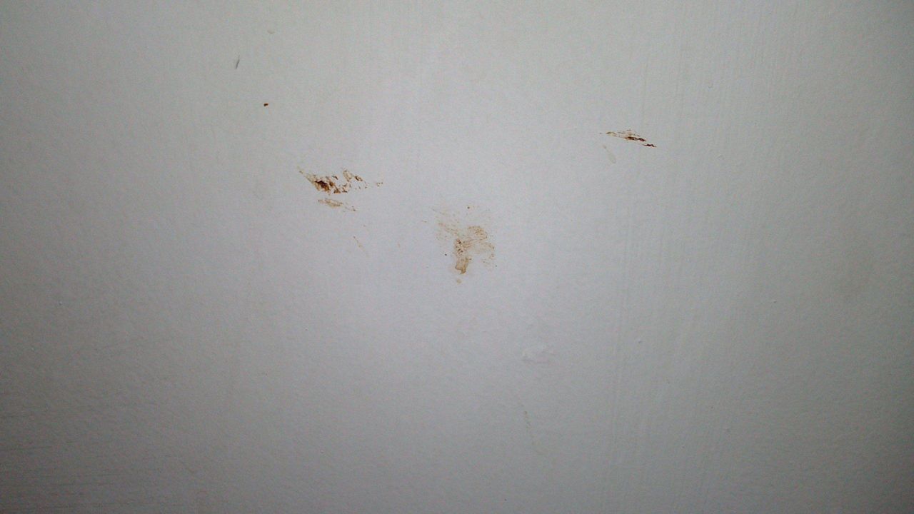 Flecken an der Wand Alassio Hotel and Thalasso