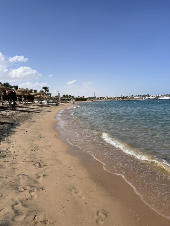 Strand Jaz Makadi Oasis Resort