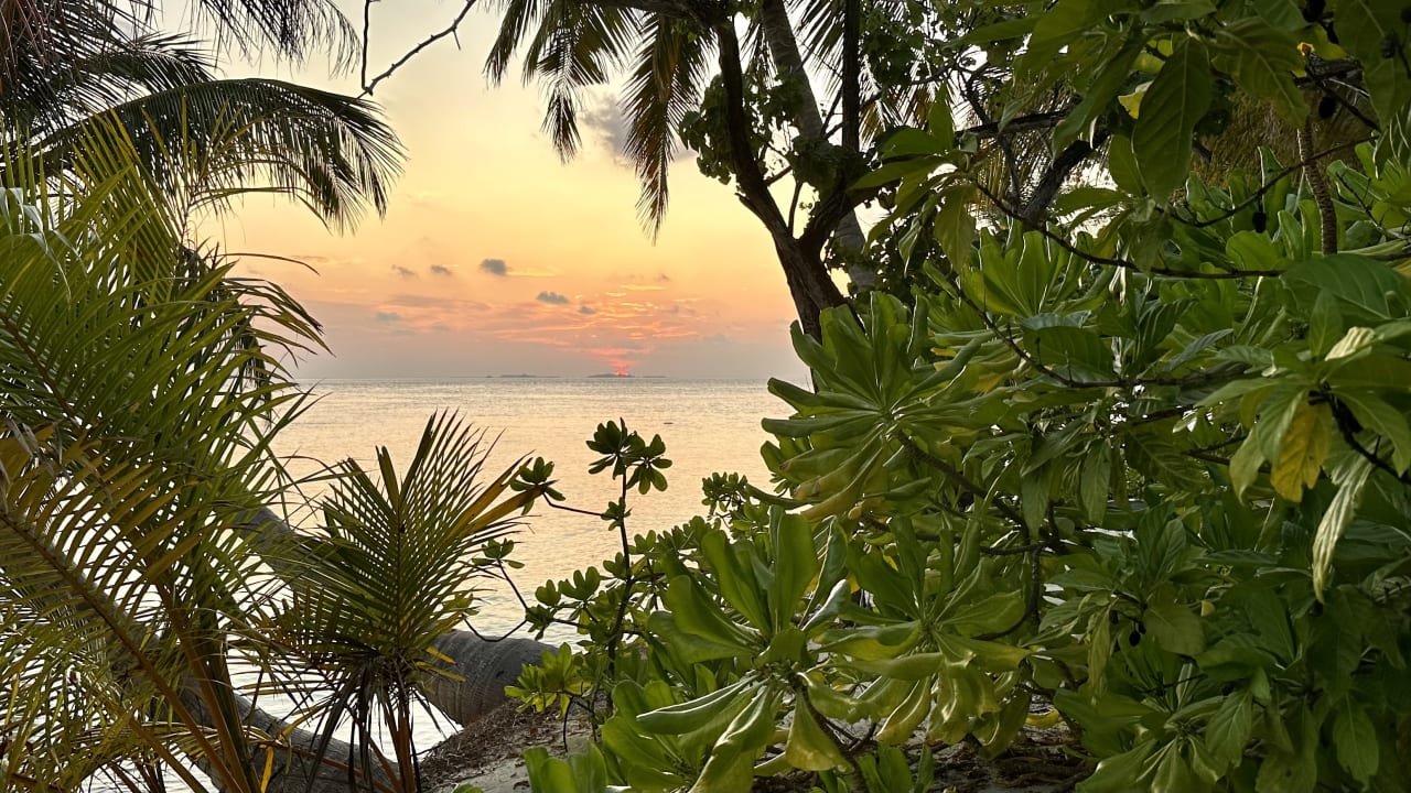 Ausblick Vilamendhoo Island Resort & Spa